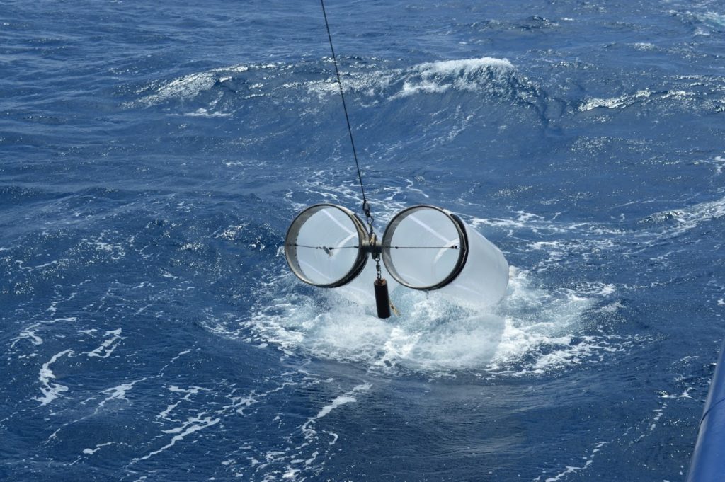 Bongo (CalBOBL) Net Tow CalCOFI